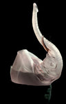 Cha Glass Elephant Sculpture